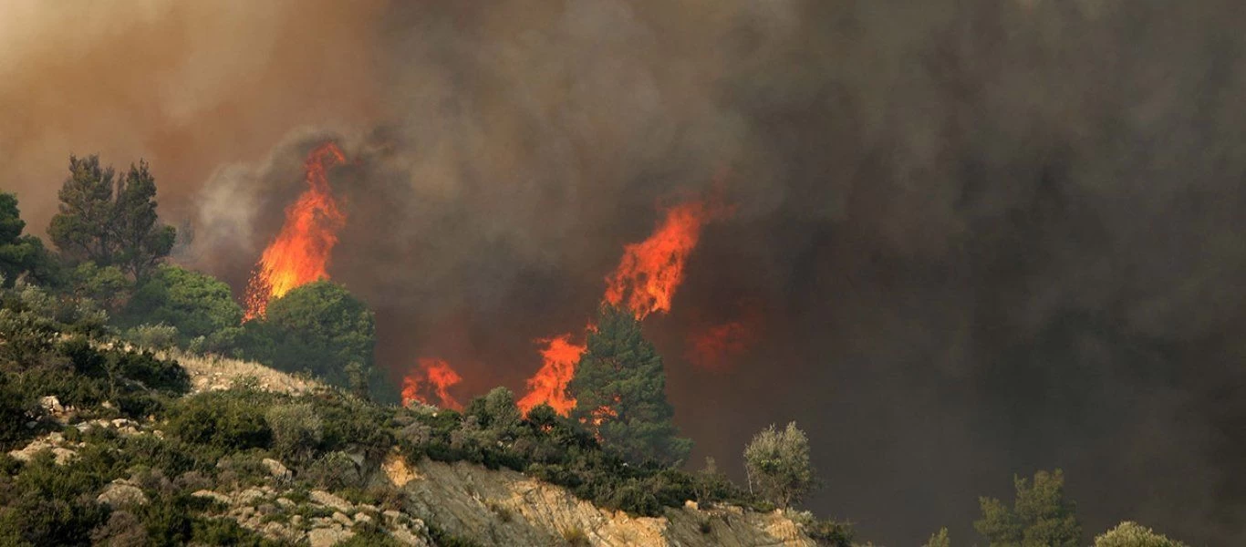 Φωτιά σε δασική έκταση στο Αμόριο Σουφλίου - Στο σημείο δυνάμεις πυρόσβεσης